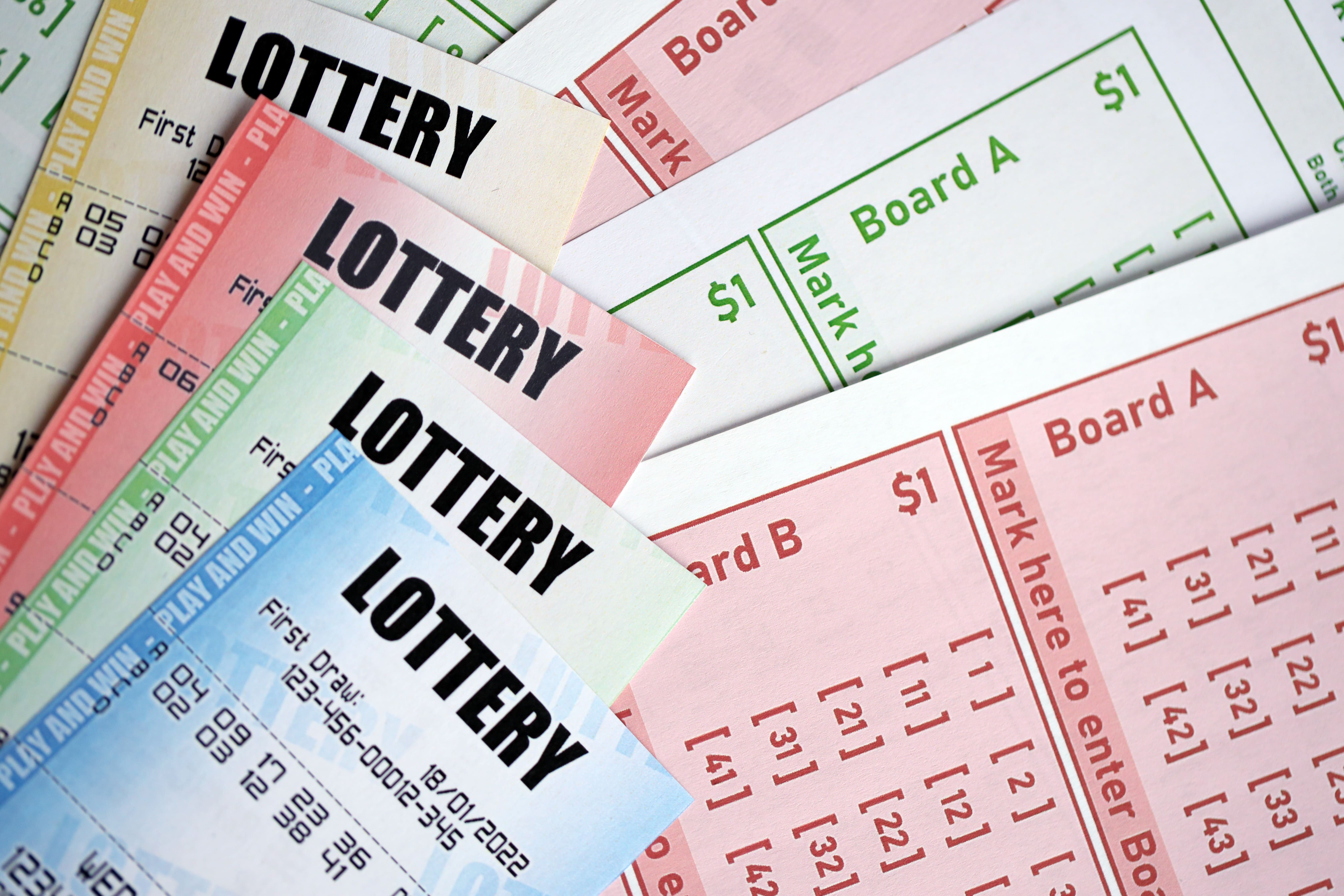 ALT general imagen 5 PLANTSEO